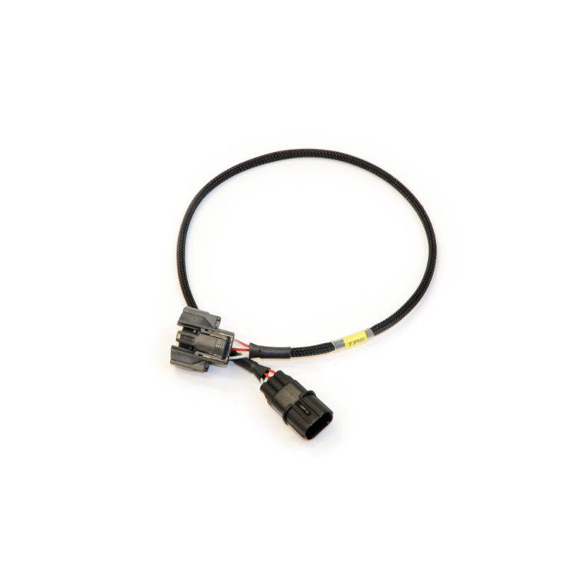 KPower TPS Jumper Harness Honda B Series