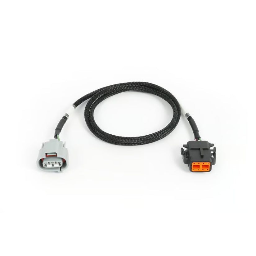 Haltech Nexus Rebel JZ Toyota R154 Transmission Harness