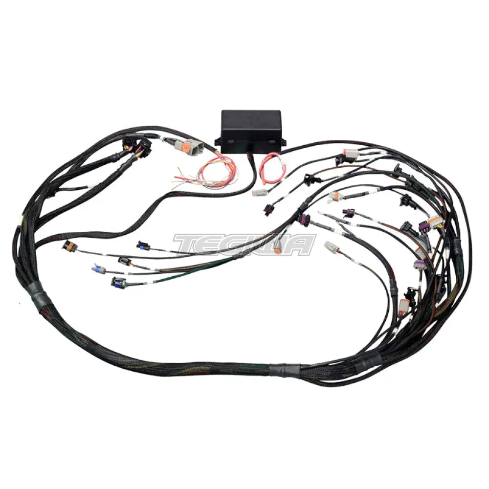 Haltech Elite 2000/2500 GM GEN IV LS2 Non DBW Terminal Harness EV6