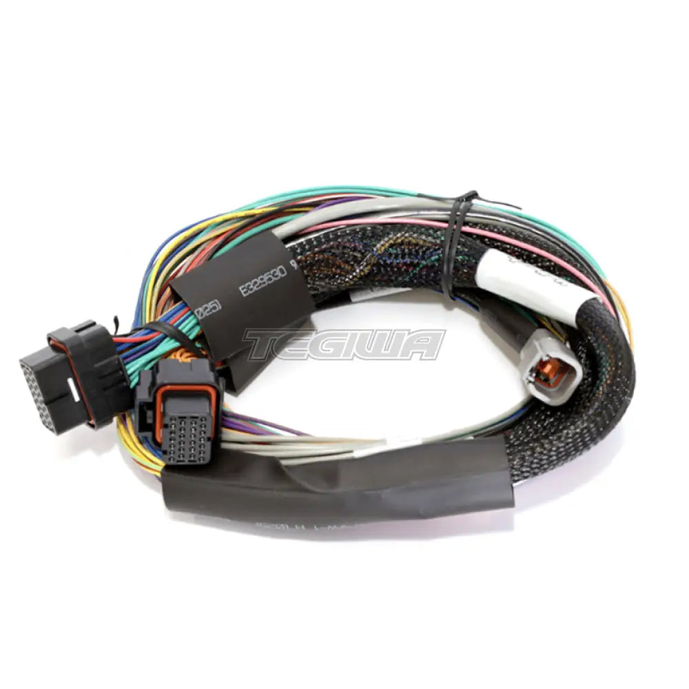 Haltech Elite 2500 - 2.5m (8ft) Basic Universal Wire-in Harness
