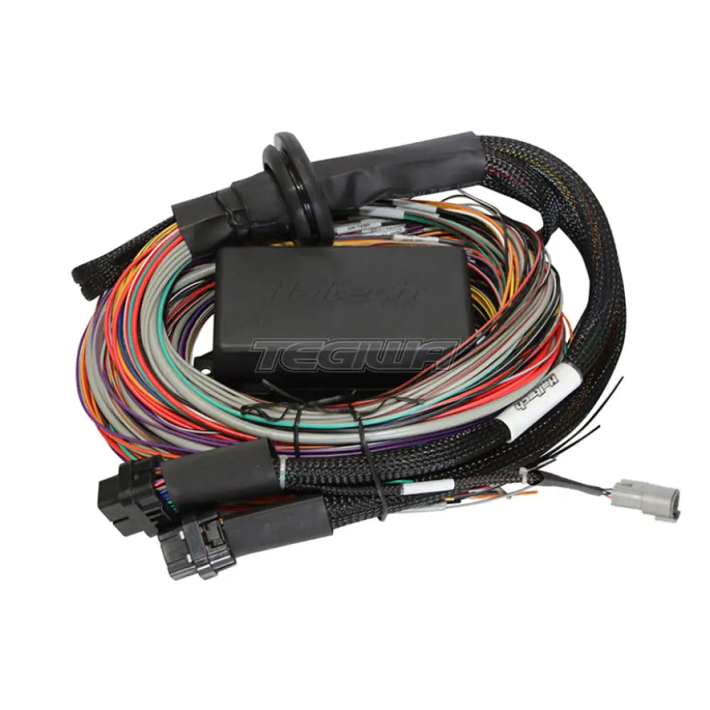 Haltech Elite 2500 & T Premium Universal Wire-In Harness - 3M Harnesses Adapters
