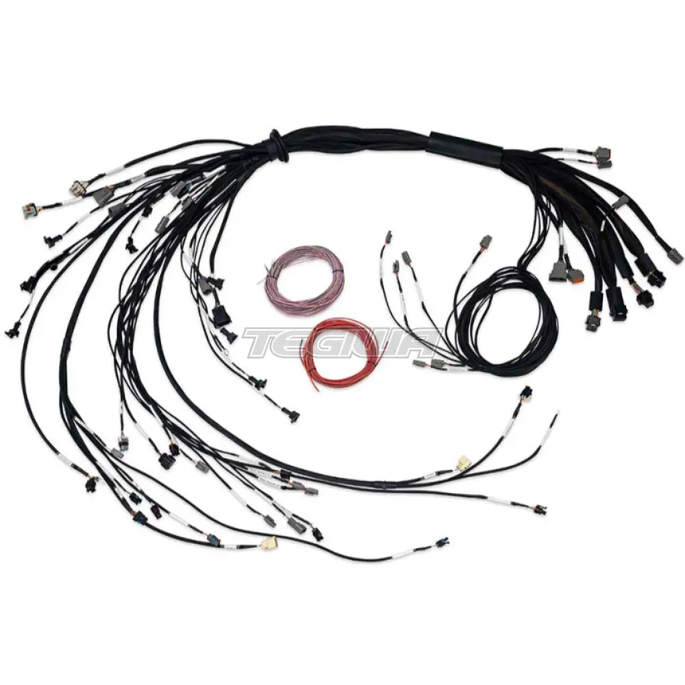 Haltech Nexus R5 Lsx Non Dbw Terminated Harness Harnesses & Adapters