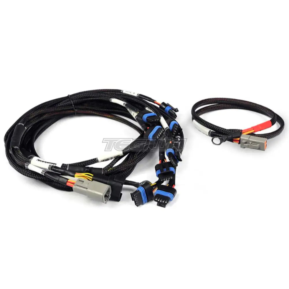 Haltech Nexus Universal V8 - Ign-1A Ford Harness Harnesses & Adapters