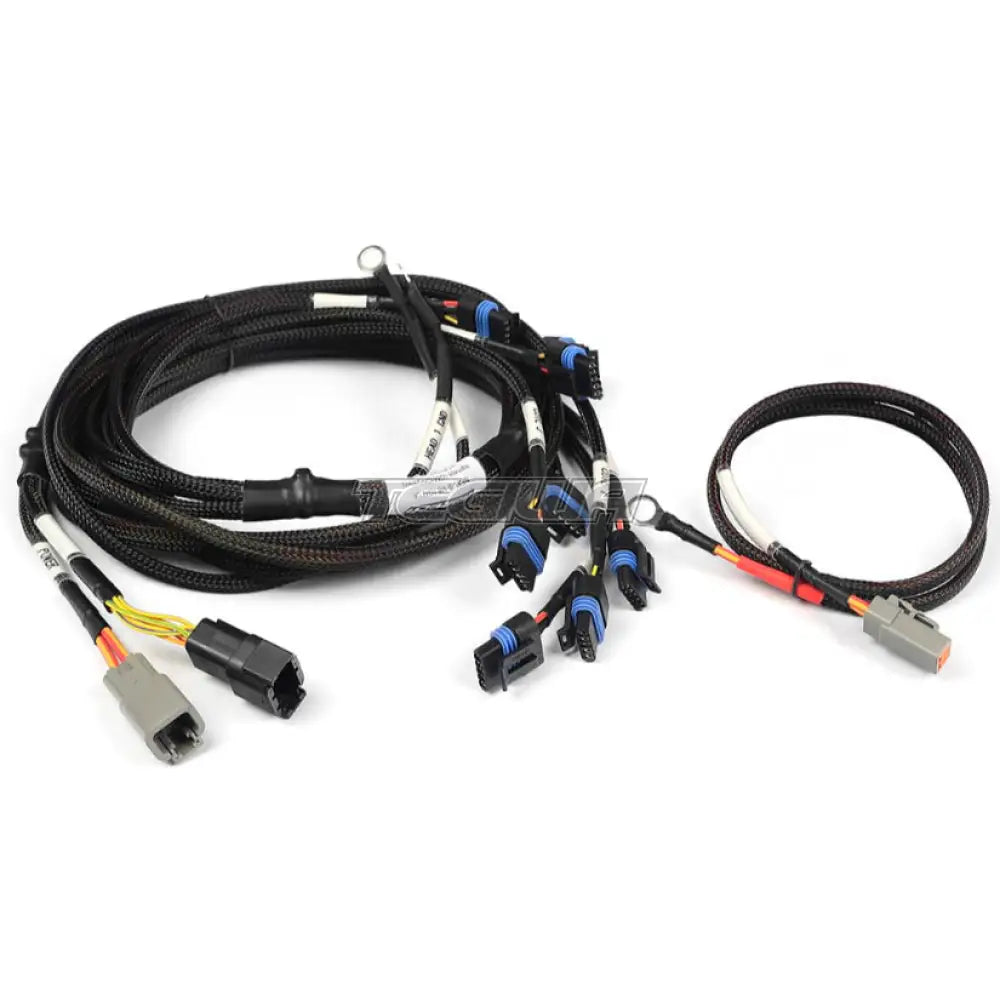 Haltech Nexus Universal V8 - Ign-1A Gm/Chrysler Harness Harnesses & Adapters