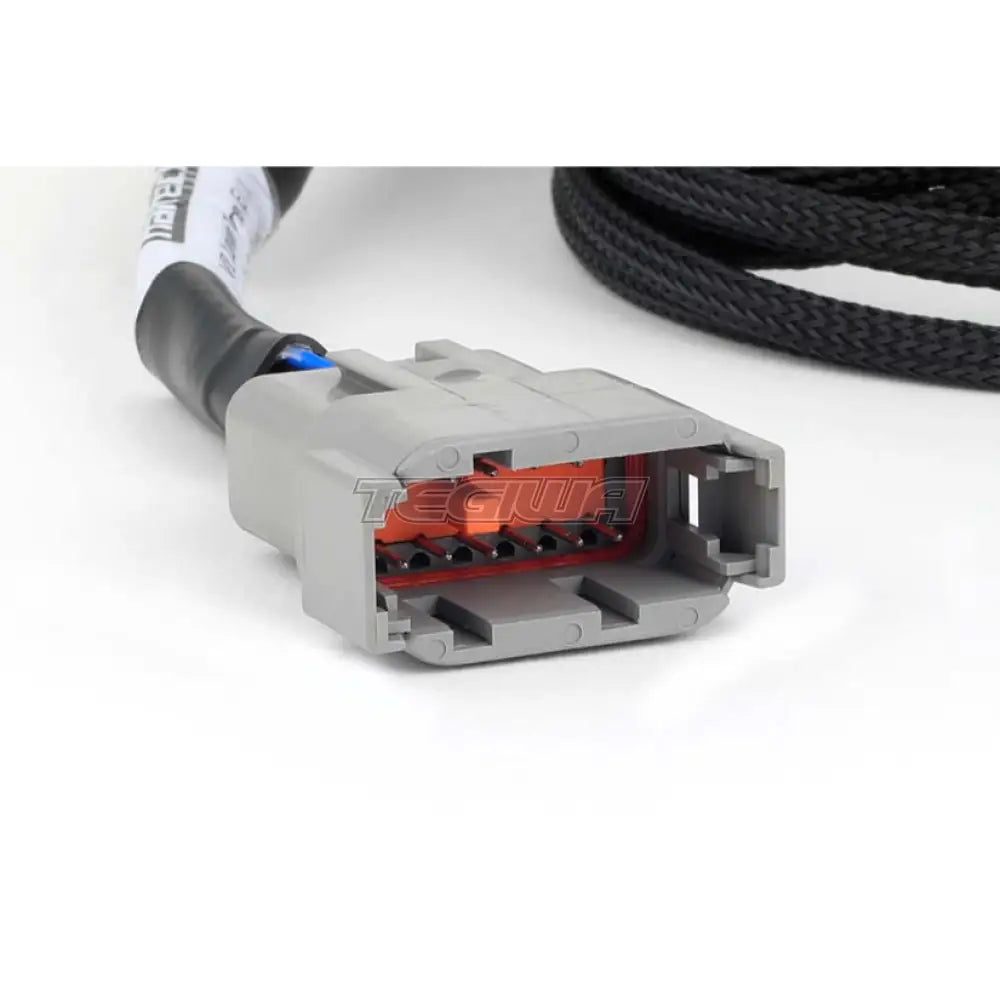 Haltech Nexus Universal V8 - Junior Timer (Ev1) Injector Primary Breakout Harnesses & Adapters