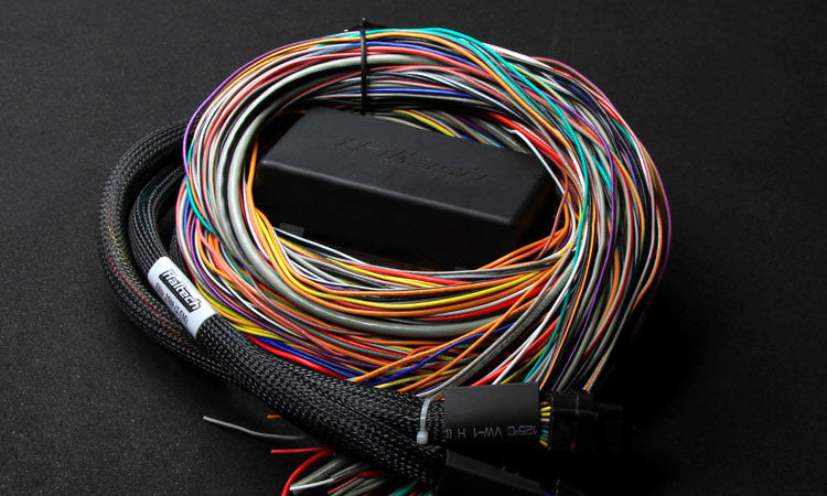 Harnesses & Adapters