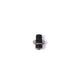 Radium Engineering 6AN ORB Fitting