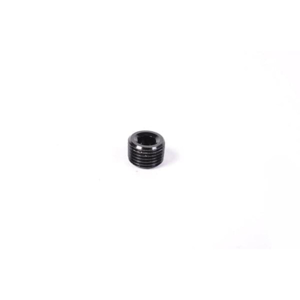 Radium Engineering 1/8in NPT Fitting