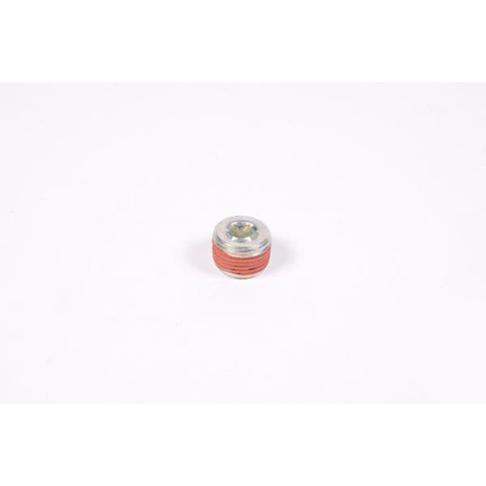 Radium Engineering 3/8in NPT Plug