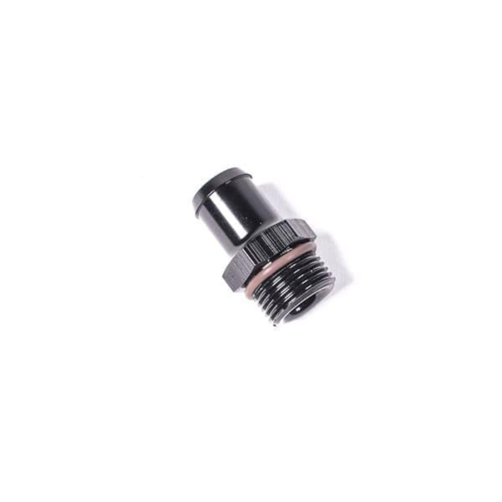 Radium Engineering 10AN ORB Fitting