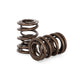 Kelford Cams Dual Valve Spring Set Nissan L20-L28