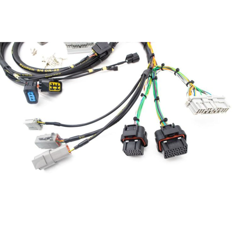 KPower Universal RWD K-Swap Engine Harness For Haltech Elite 1500