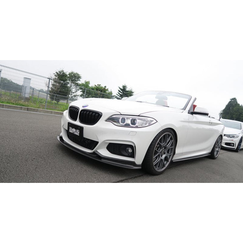 3Ddesign Front Splitter Carbon Fibre BMW M2 M235i 220i F20