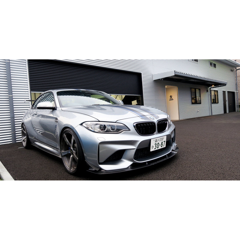 3Ddesign Front Splitter BMW M2 F87