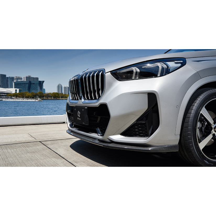 3Ddesign Carbon Backbox BMW X1 20d U11