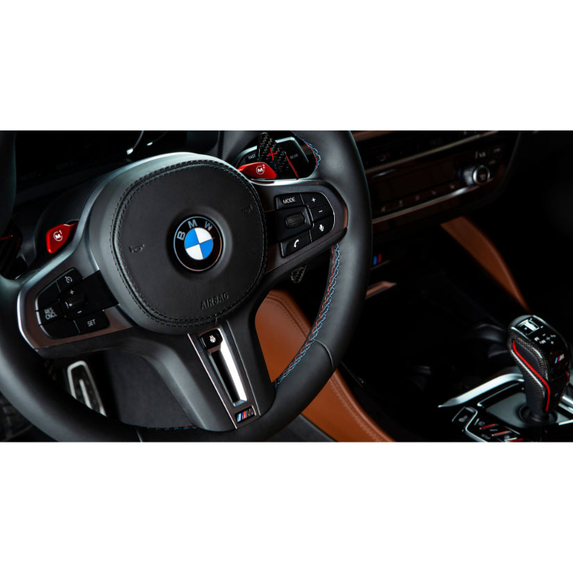 3Ddesign Paddle Shifter Carbon Fibre Silver BMW GXX