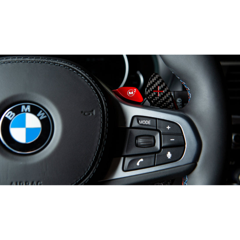 3Ddesign Paddle Shifter Carbon Fibre Silver BMW GXX