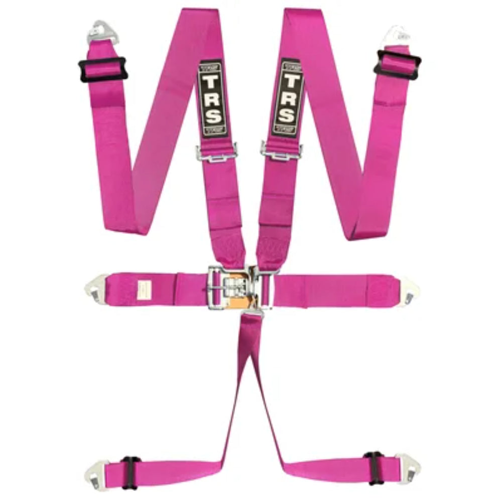 TRS 6 Point Lever Latch Standard Harness