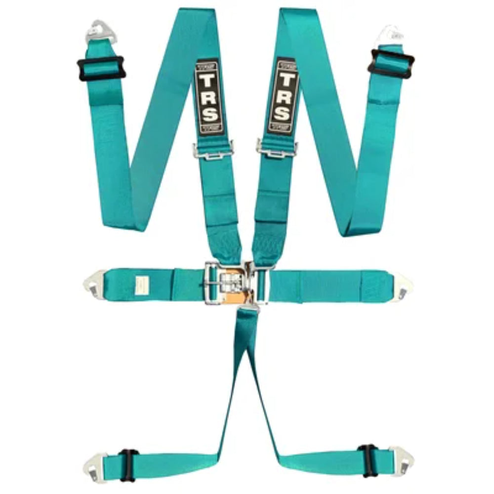 TRS 6 Point Lever Latch Standard Harness