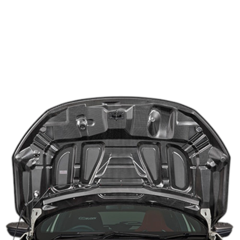 Mugen Aero Carbon Bonnet RC20GT Honda Civic Type-R FK8