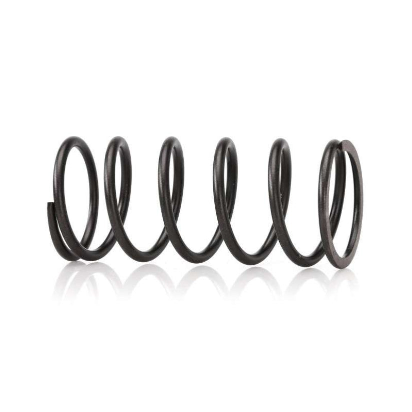 HKS Replacement Wastegate Spring