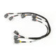 Haltech Elite 2000/2500 Ignition Sub-Harness for Nissan RB Twin Cam (Internal Ignitor)