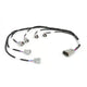 Haltech i6 Sumitomo Denso Primary Injector Harness