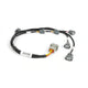 Haltech i6 R35 COP Ignition Harness