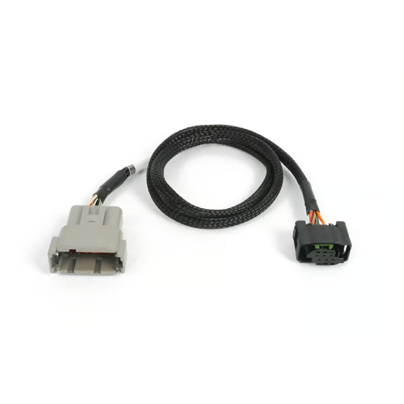 Haltech Nexus Subharness Bosch DBW