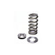 Kelford Cams Racing Valve Spring and Titanium Retainer Kit Audi VW EA888 Gen3