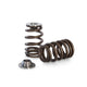Kelford Cams Beehive Valve Spring and Titantium Retainer Kit Ford 2000 OHC