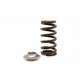 Kelford Cams Beehive Valve Spring and Titantium Retainer Kit Harley V-Rod