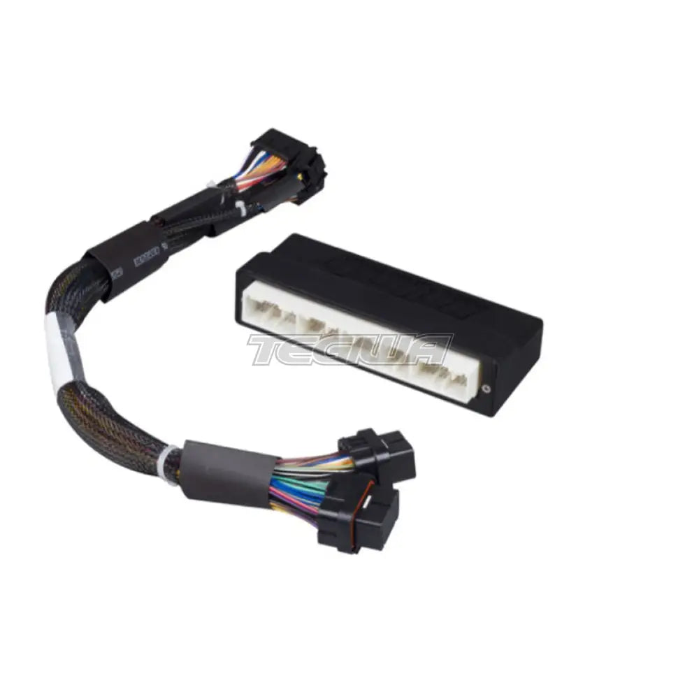 Haltech Elite 1500 PnP Adaptor Harness - Honda Civic EP3