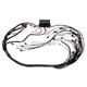 Haltech Elite 2000/2500 GM GEN IV LS2 DBW Ready Terminal Harness - EV1