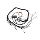 Haltech Elite 2000/2500 Toyota 2Jz Terminated Engine Harness Harnesses & Adapters