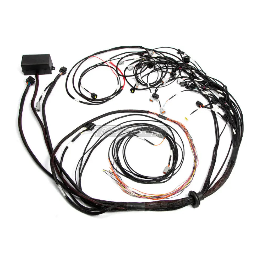 Haltech Elite 2500 Ford Falcon FG Barra 4.0 Terminated Harness