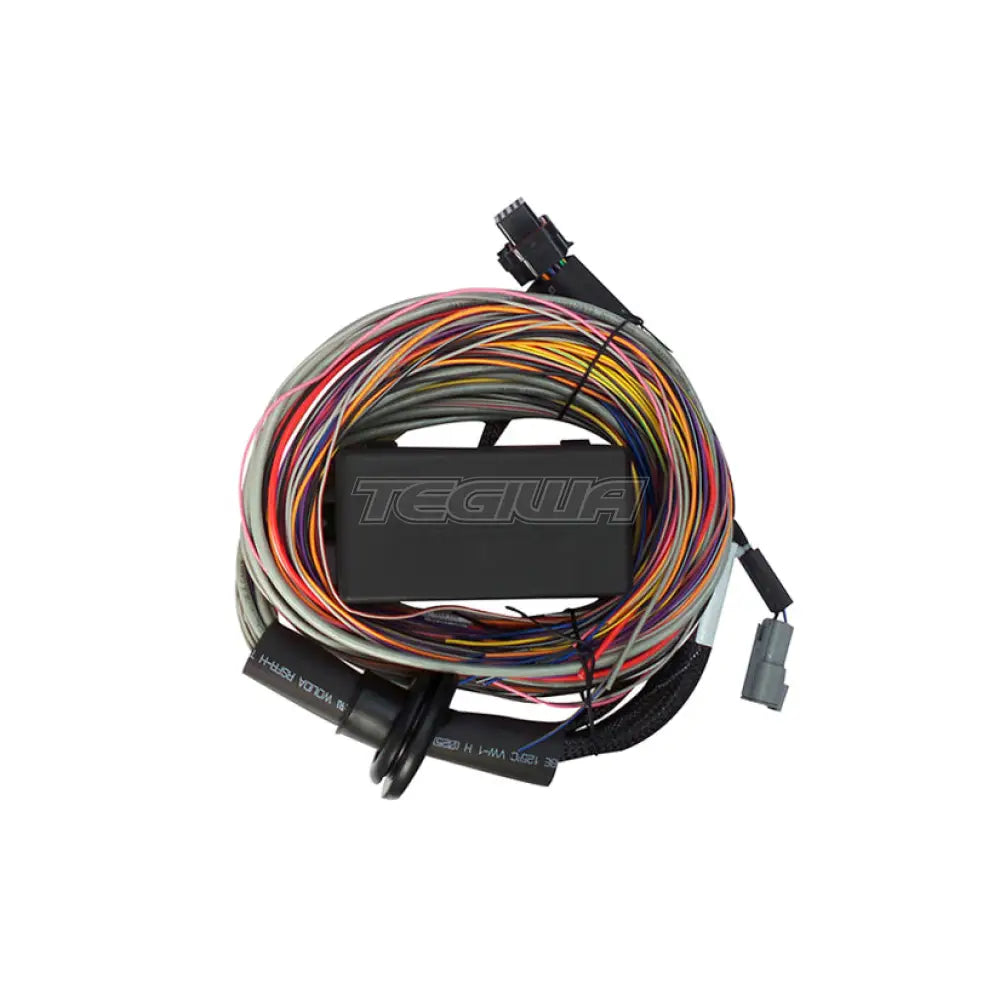 Haltech Elite 550 + Premium Universal Wire-In Harness Kit Engine Management (Ecu)