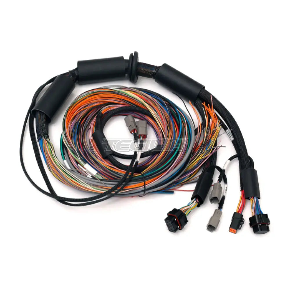 Haltech Nexus R3 Universal Wire-In Harness - 2.5M (8’) Harnesses & Adapters