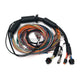 Haltech Nexus R3 Universal Wire-In Harness - 2.5M (8’) Harnesses & Adapters