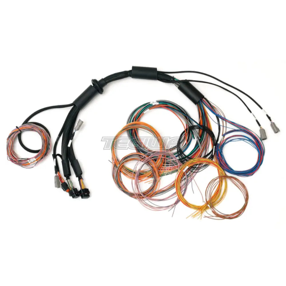 Haltech Nexus R3 Universal Wire-In Harness - 2.5M (8’) Harnesses & Adapters