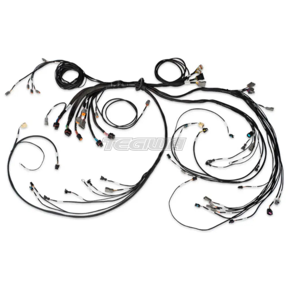 Haltech Nexus R5 Lsx Non Dbw Terminated Harness Harnesses & Adapters