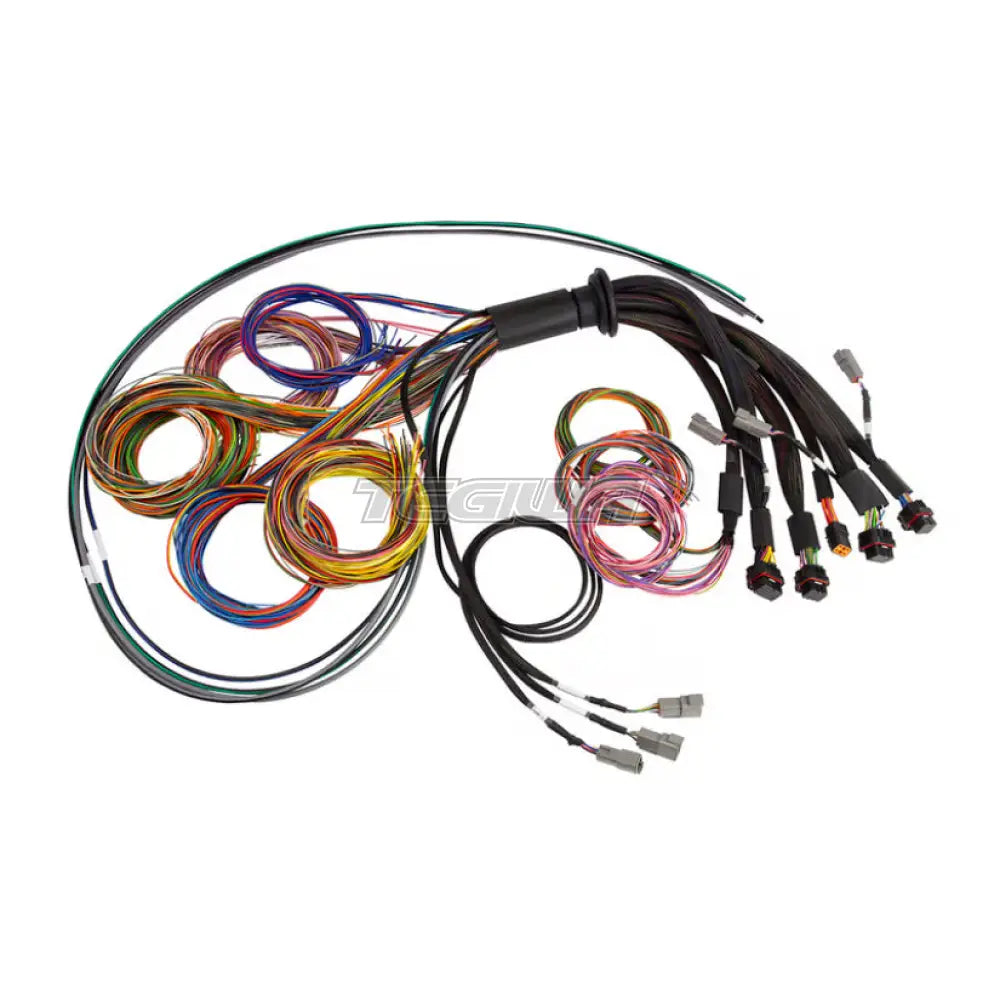 Haltech Nexus R5 Universal Wire-In Harness 5 Metre Length Harnesses & Adapters