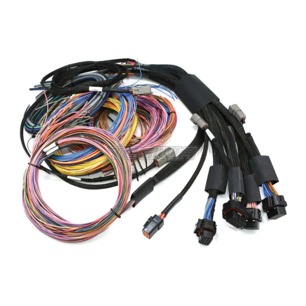 Haltech Nexus R5 + Universal Wire-In Harness Kit - 5M / 16’ Engine Management (Ecu)