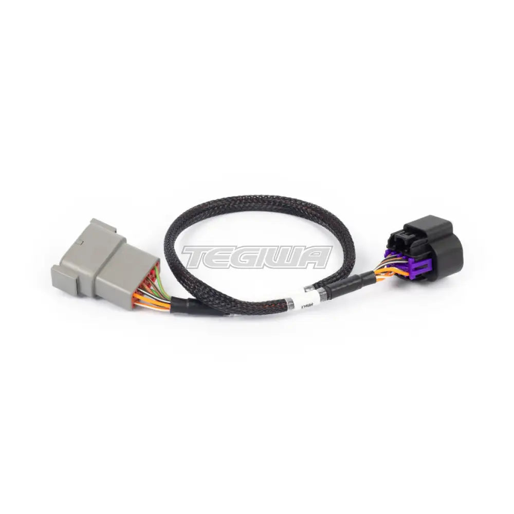 Haltech Nexus Rebel Ls - 8-Pin Dbw Adaptor Harnesses & Adapters