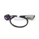 Haltech Nexus Rebel Ls - 8-Pin Dbw Adaptor Harnesses & Adapters