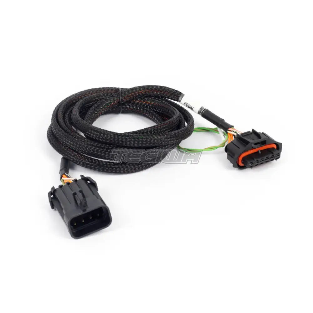 Haltech Nexus Rebel Ls - Bosch Pedal Adaptor Harnesses & Adapters