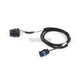 Haltech Nexus Rebel Ls - T56 Transmission Harness Harnesses & Adapters