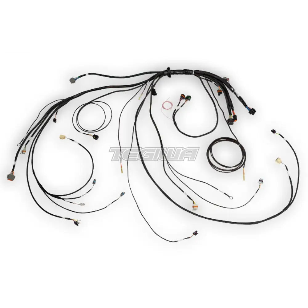 Haltech Nexus Rebel Ls Terminated Harness For Ecu Harnesses & Adapters