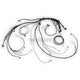 Haltech Nexus Rebel Ls Terminated Harness For Ecu Harnesses & Adapters