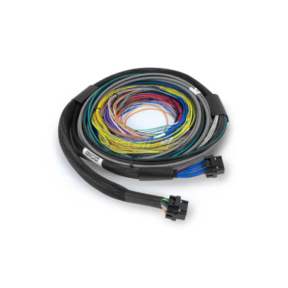 Haltech Nexus S3 / S2 Universal Wire-In Harness - 2.5M (8’) Harnesses & Adapters
